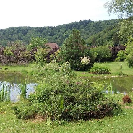 Pied Des Milles Etang - Les Capucins Bed & Breakfast Faucogney-et-la-Mer Luaran gambar