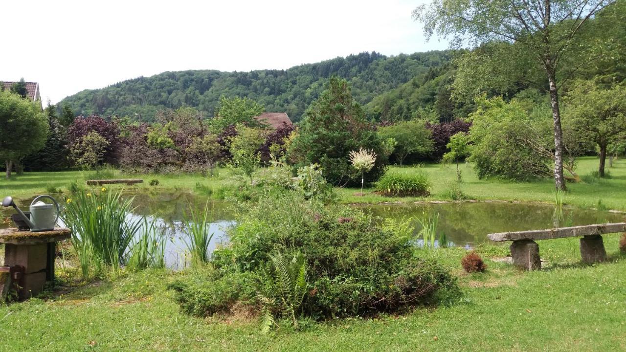 Pied Des Milles Etang - Les Capucins Bed & Breakfast Faucogney-et-la-Mer Luaran gambar