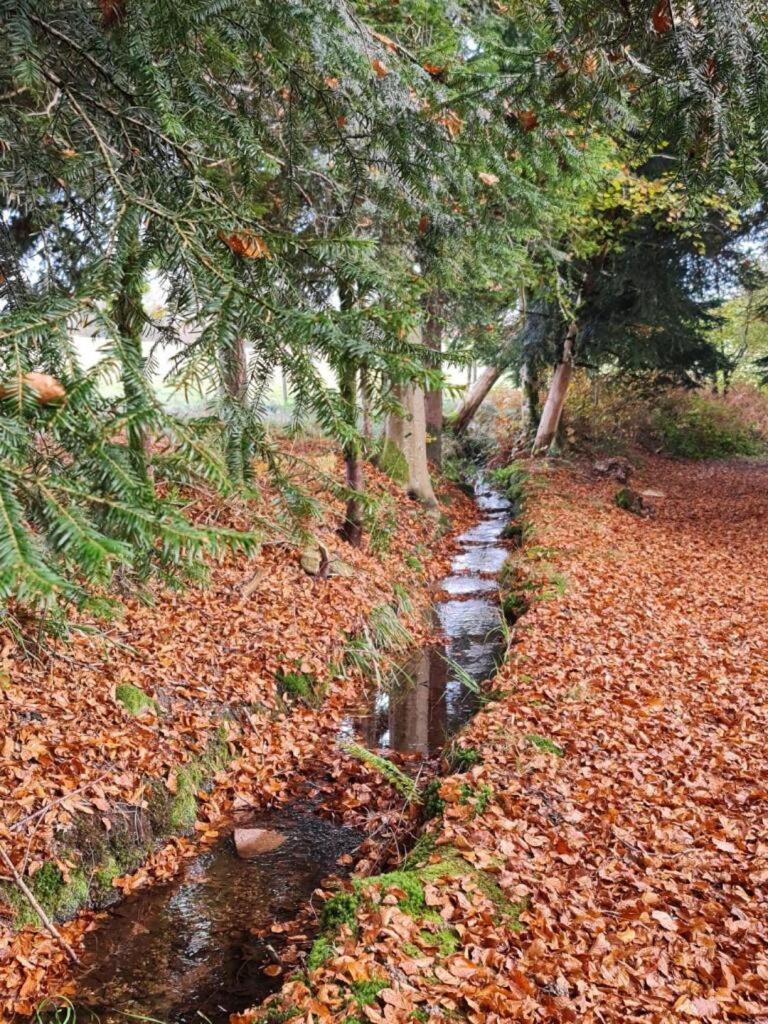 Pied Des Milles Etang - Les Capucins Bed & Breakfast Faucogney-et-la-Mer Luaran gambar